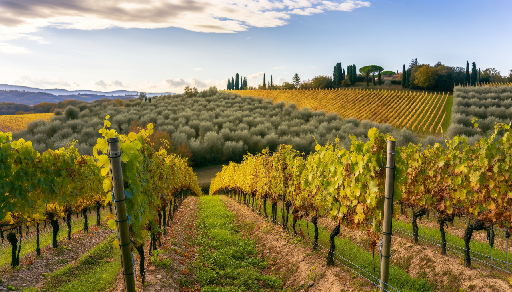 Prosecco vs Champagne: differenze, metodo di produzione e consigli d’acquisto