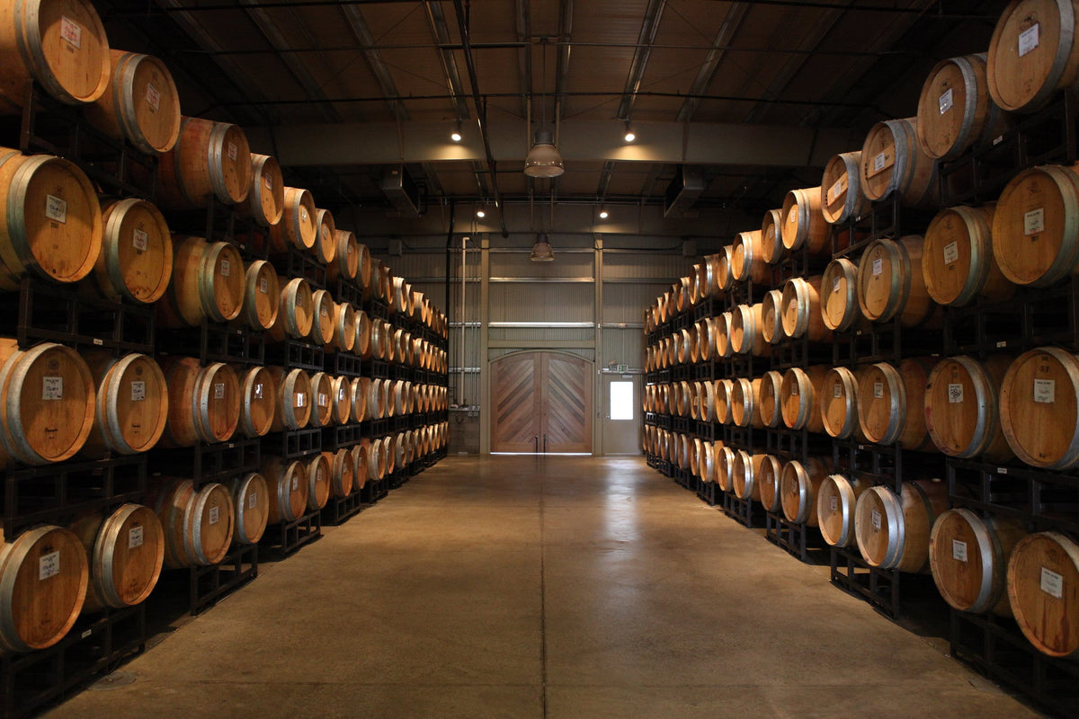 Vini Mamete Prevostini