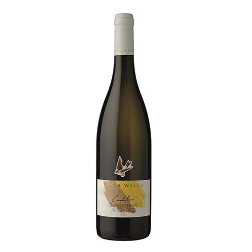 Alto Adige Chardonnay 'Cardellino' 2024 - Elena Walch - Astemyo
