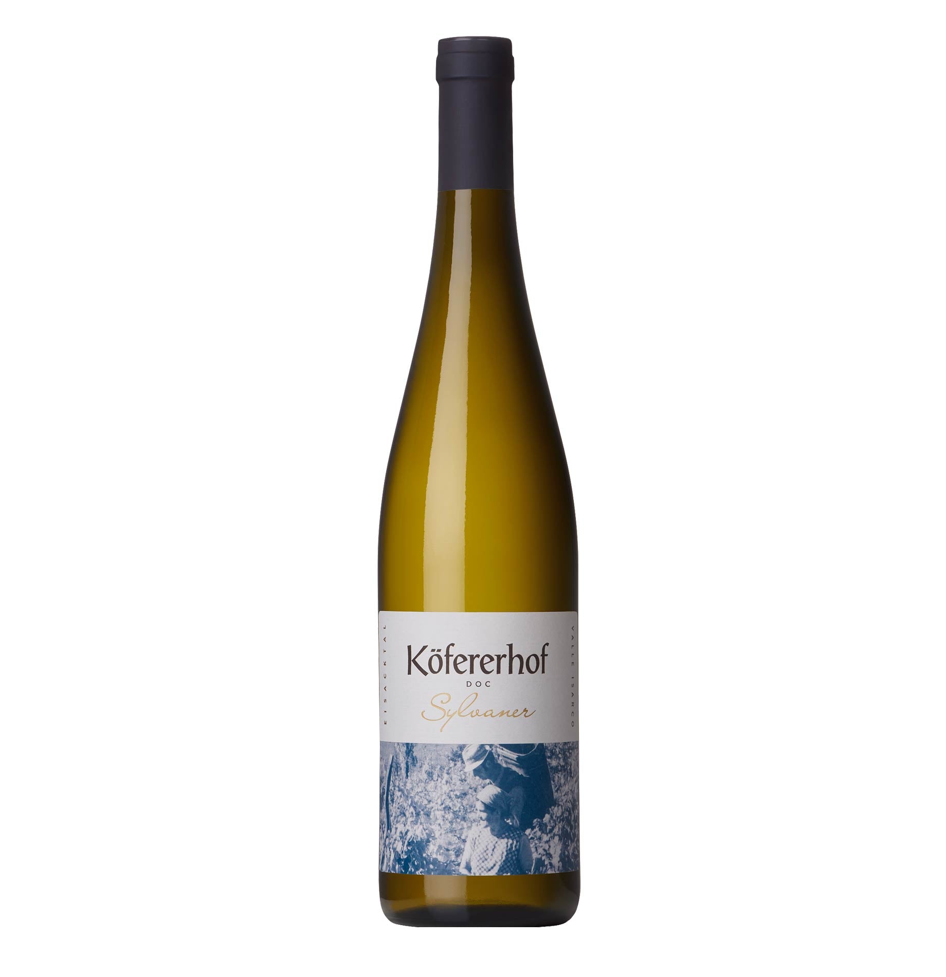 Alto Adige Sylvaner DOC 2023 - Köfererhof - Astemyo