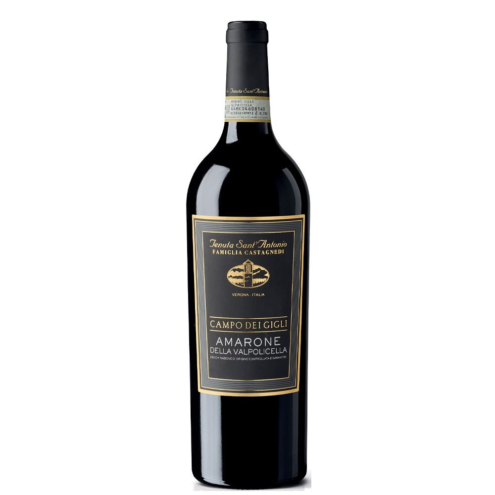 Amarone della Valpolicella DOCG 'Campo dei Gigli' 2018 - Tenuta Sant’Antonio - Astemyo