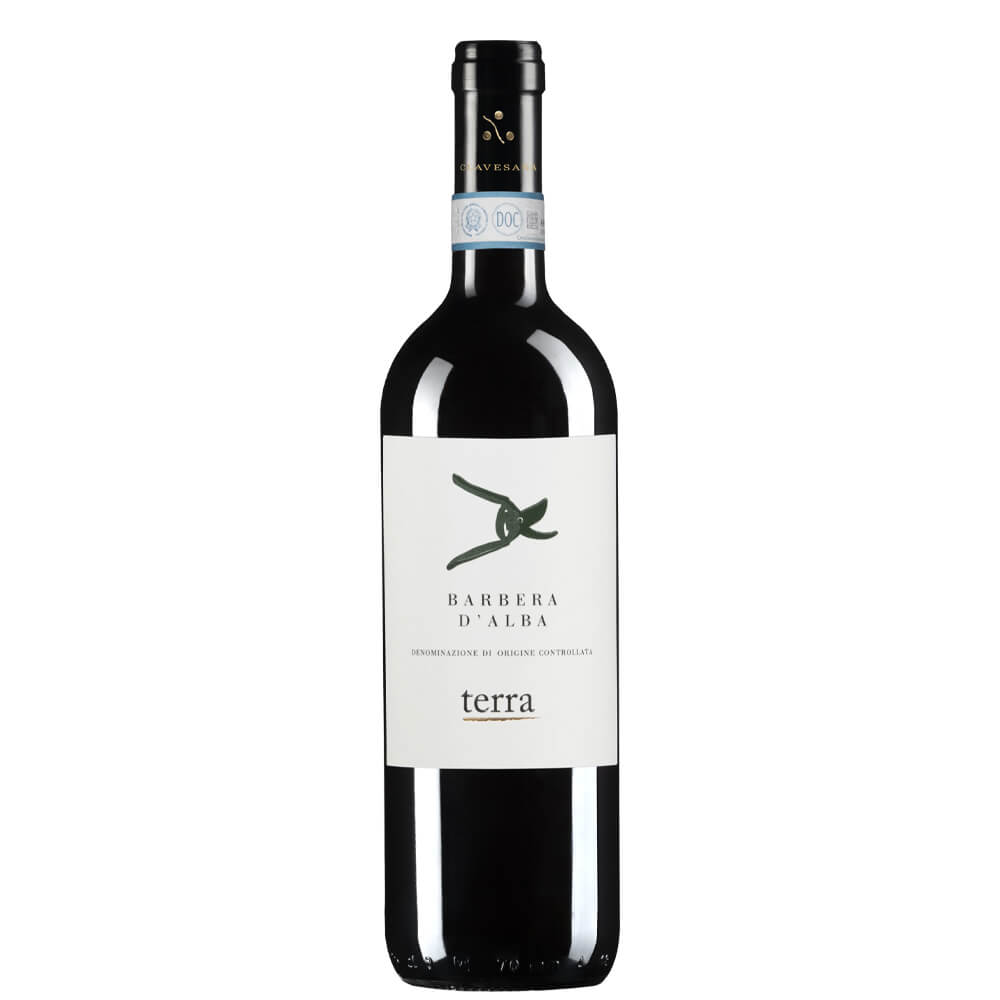 Barbera d’Alba DOC 2022 Magnum - Clavesana - Astemyo