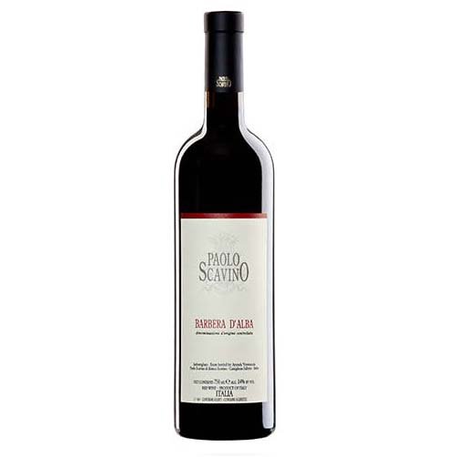 Barbera d'Alba DOC 2023 - Paolo Scavino - Astemyo