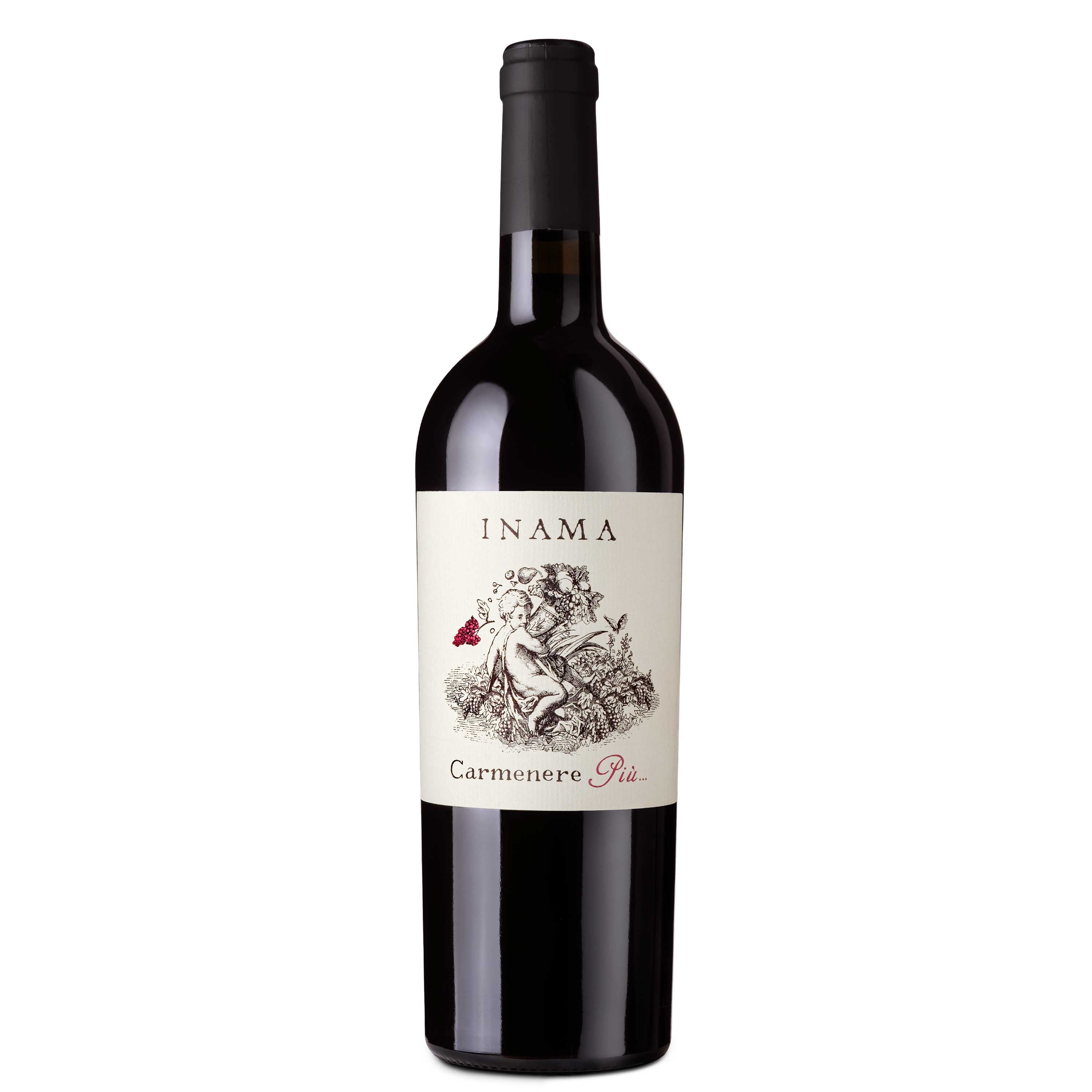 Veneto Rosso IGT 'Carmenere Più' 2022 - Inama - Astemyo